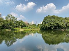 -晓港公园