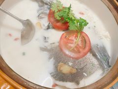-全乐鱼馆·淳牌有机鱼直营店