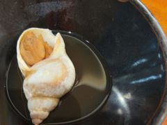 -月龍吟(朝龙汇店)