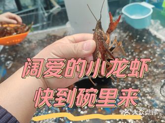 阔爱的小龙虾，快到碗里来
