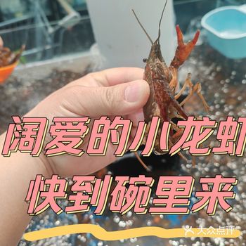 阔爱的小龙虾，快到碗里来