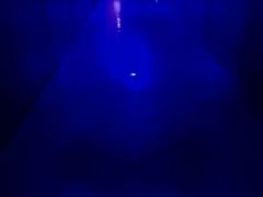 -白鹤梁水下博物馆