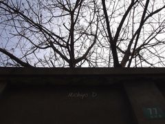 -书隐楼