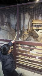 -酷嗒动物文化乐园(cutezoo西溪乐天城店)