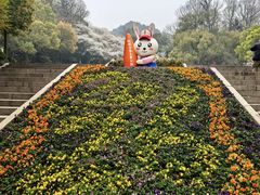 -杭州少年儿童公园