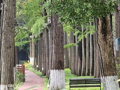 -东湖听涛景区