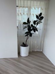 -HEYAN荷妍专业脱毛连锁机构