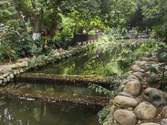 -成都市活水公园