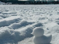 -长春市南湖公园