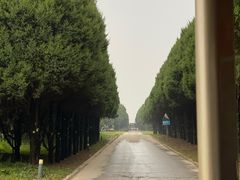 -秦始皇帝陵博物院-丽山园