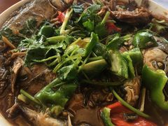 -黄四老鱼馆(尚东国际店)