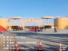 -金塔沙漠胡杨林景区