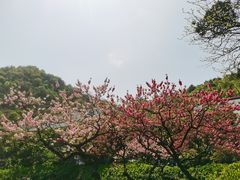 -黔灵山公园