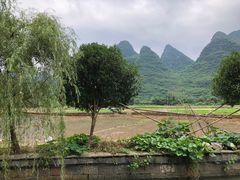 -村上春树