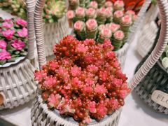 -杭州西湖银泰百货