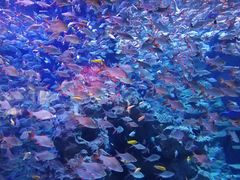 -成都浩海立方海洋公园