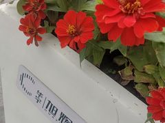 -螃蟹岬(地铁站)