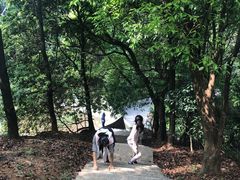 -广州市帽峰山景区
