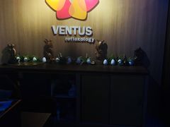 -ventus spa 沙巴亚庇正宗精油按摩会所