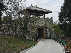 -原山国家森林公园