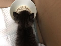 -宠颐生中康贝怡动物医院