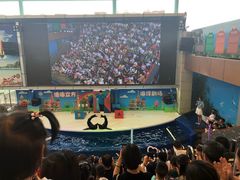 -成都浩海立方海洋公园