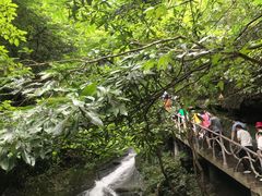 -藏龙百瀑风景区