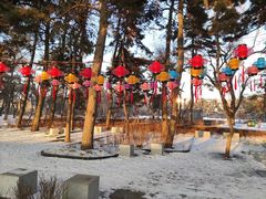 -长春市南湖公园