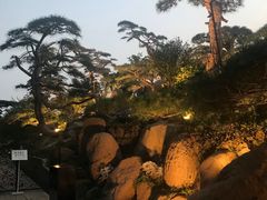 -罗红摄影艺术馆