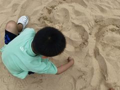 -日照海滨国家森林公园