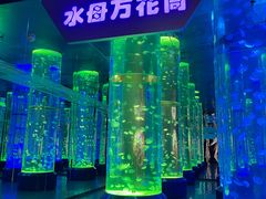 -海合安成都极地海洋公园