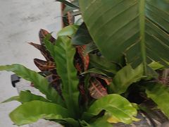 -谭三娘鲜切牛肉自助火锅(九眼桥总店)