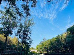 -白水寺森林公园