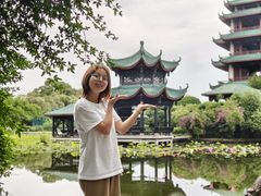 -桂湖森林公园