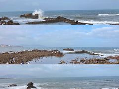 -小麦岛公园
