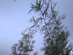 -江南韵·无锡太湖文化体验餐厅(凤凰天街店)