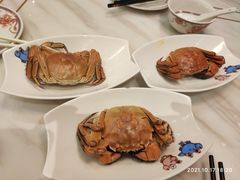 -稻香酒家·33年老字号·港式粤菜(富邦中心店)