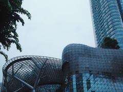 -爱雍·乌节