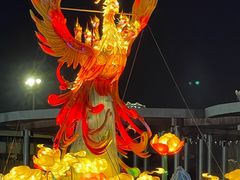 -武汉园博园(武汉自然博物馆)