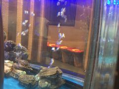 -千代武日本料理(爱建店)