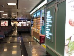 -厦门高崎国际机场-T3航站楼