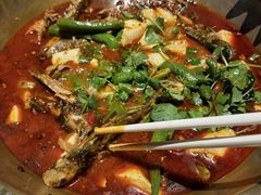 -红辣椒·川菜·火锅(科华路店)