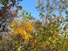 -北京西山国家森林公园