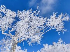 -雪谷