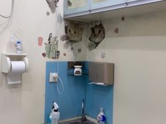 -希望动物医院(汉阳院)