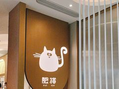 -佬肥猫(七宝宝龙店)