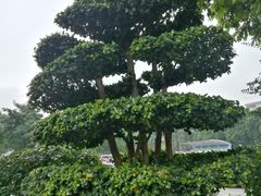 -银记肠粉店(北京路店)