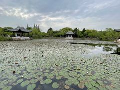 -无锡蠡湖国家湿地公园-蠡园