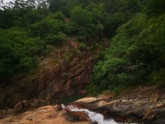 -广州白江湖森林公园