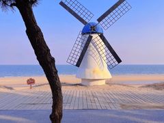 -巧克力渔家.小船海鲜家常菜(万平口店)